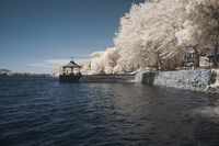 7 - Canada_IR_0138-dtd